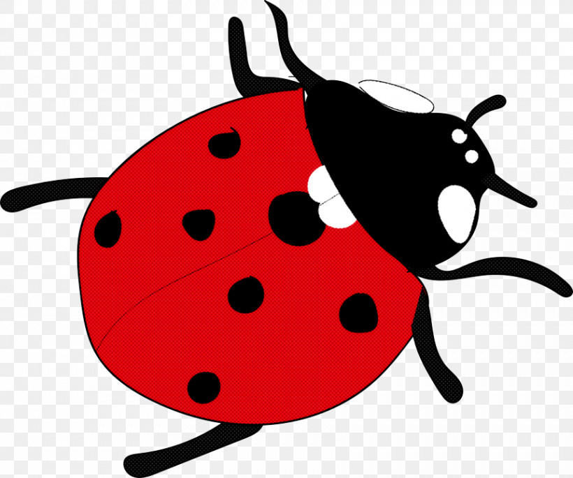 Ladybug, PNG, 861x720px, Insect, Beetle, Ladybug Download Free