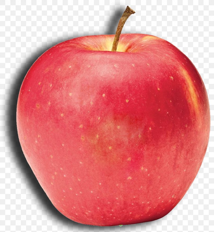 McIntosh Azienda Agricola Galassa Cripps Pink Apple Cripps Red, PNG, 836x903px, Mcintosh, Accessory Fruit, Apple, Apple Pie, Art Download Free