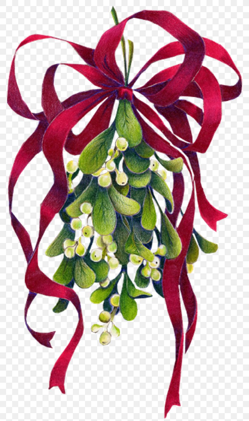 Mistletoe Christmas Phoradendron Tomentosum Clip Art, PNG, 800x1386px, Mistletoe, Animation, Christmas, Cut Flowers, Flora Download Free
