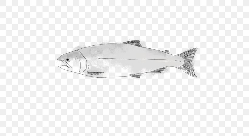 Product Design Fish, PNG, 600x450px, Fish Download Free