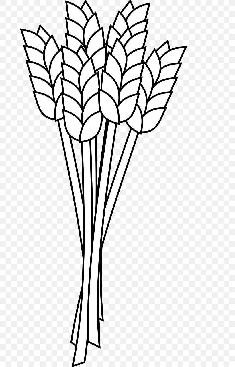 Wheat Flour Coloring Book Whole Grain Clip Art, PNG, 678x1280px, Wheat, Black And White, Branch, Cereal, Child Download Free