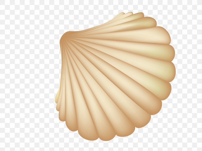 Seashell Computer File, PNG, 1667x1250px, Seashell, Conch, Gratis, Shellfish Download Free
