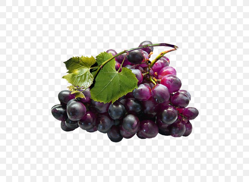 Grape Seed Extract Grapevines, PNG, 600x600px, Grape, Food, Fruit, Grape Seed Extract, Grape Seed Oil Download Free