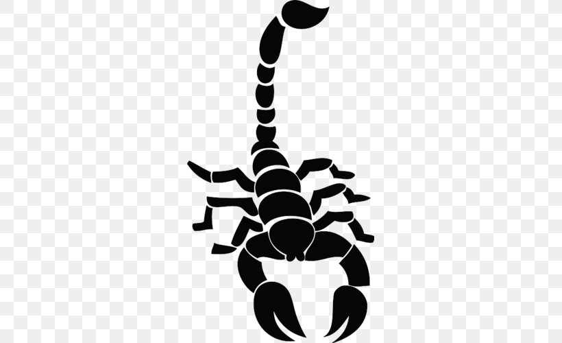 Scorpion Tattoo Artist Decal Drawing, PNG, 500x500px, Scorpion, Abziehtattoo, Arachnid, Artwork, Black And White Download Free