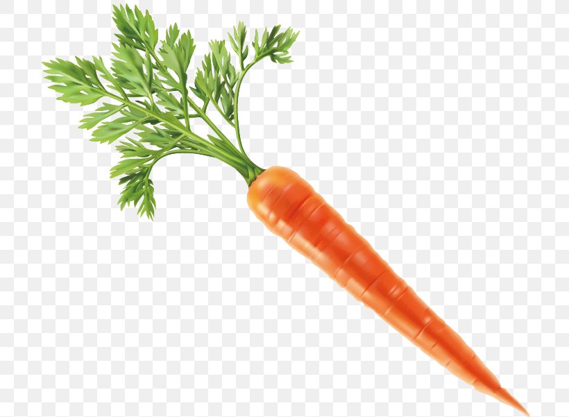 Vegetable Carrot Fruit, PNG, 709x601px, Vegetable, Baby Carrot, Carrot, Display Resolution, Food Download Free