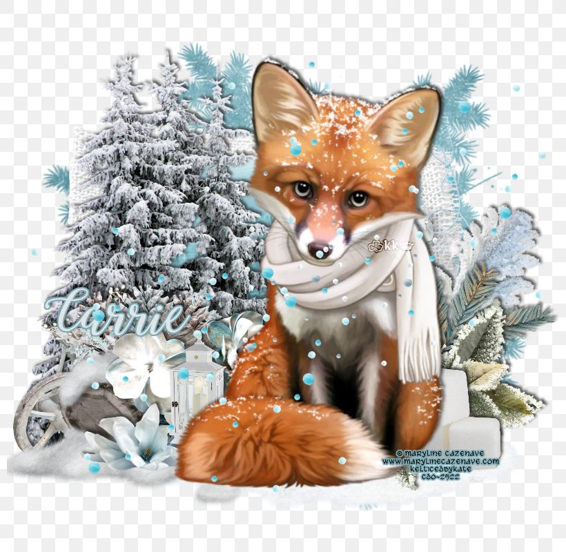 Red Fox Fauna Christmas Ornament Christmas Day Wildlife, PNG, 800x800px, Red Fox, Carnivoran, Christmas Day, Christmas Ornament, Dog Like Mammal Download Free