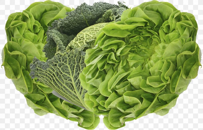 San Luis Valley Organic Food Vegetable Broccoli, PNG, 835x537px, San Luis Valley, Broccoli, Cabbage, Collard Greens, Cruciferous Vegetables Download Free