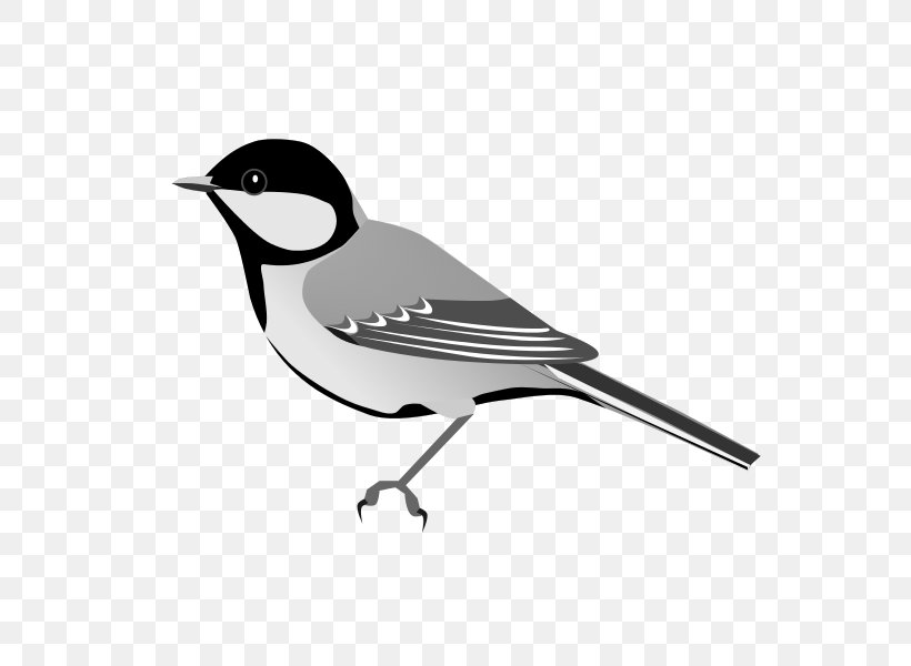 Bird Great Tit White-naped Tit American Sparrows Beak, PNG, 600x600px, Bird, American Sparrows, Beak, Bird Nest, Black And White Download Free