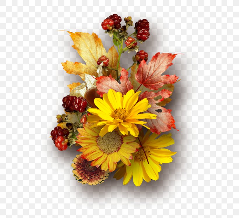 Flower Autumn Photography, PNG, 577x750px, Flower, Artificial Flower, Autumn, Centerblog, Chrysanths Download Free