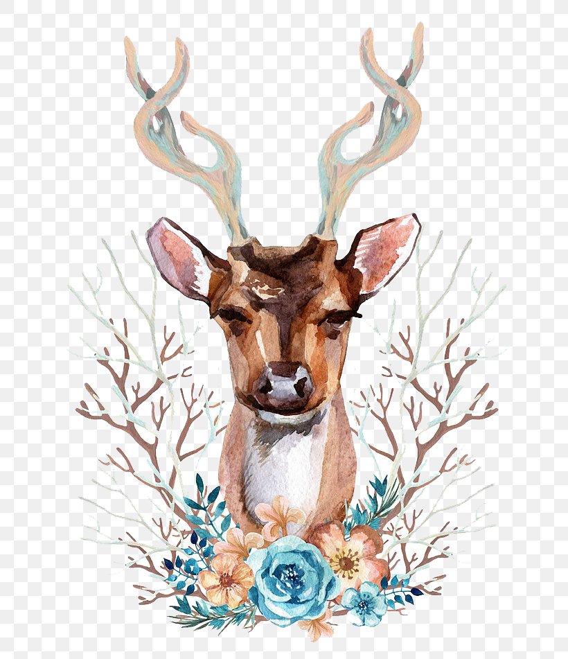 Reindeer Red Deer Illustration, PNG, 658x951px, Deer, Antler, Art, Chital, Fauna Download Free