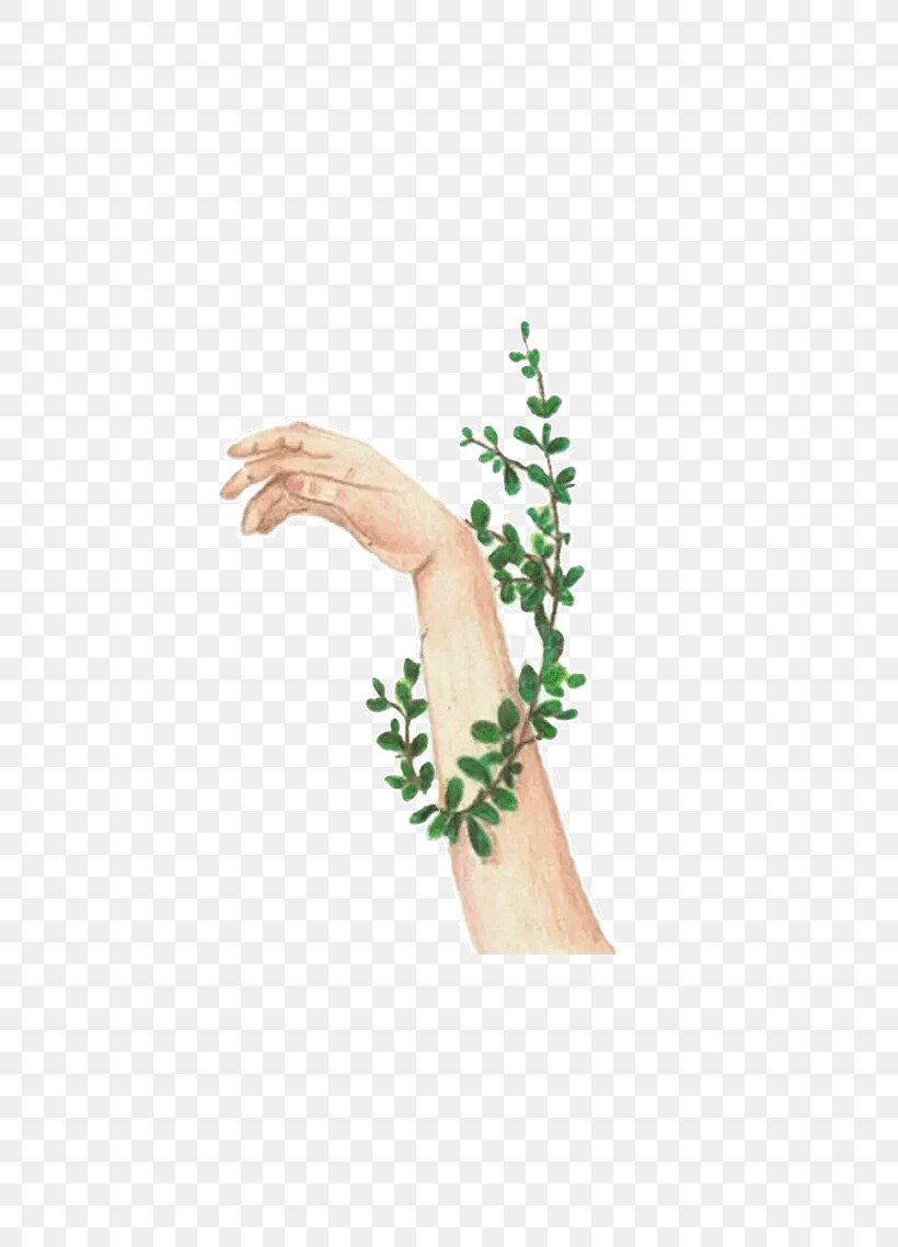 Drawing Hand Wound Illustration, PNG, 640x1138px, Drawing, Arm, Findsave, Finger, Green Download Free