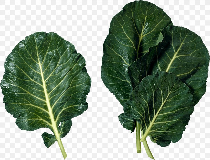 Cuisine Of The Southern United States Marrow-stem Kale Soul Food Leaf Vegetable, PNG, 2228x1704px, Collard Greens, Blanching, Brassica Juncea, Cabbage, Cooking Download Free