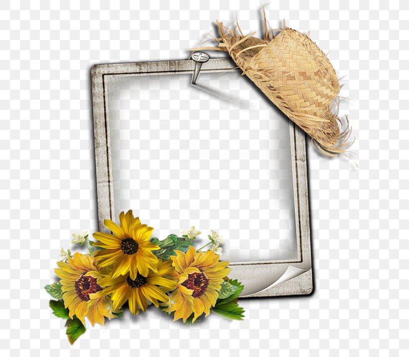 Picture Frames Photography TinyPic, PNG, 800x716px, Picture Frames, Cut Flowers, Etching, Floral Design, Floristry Download Free