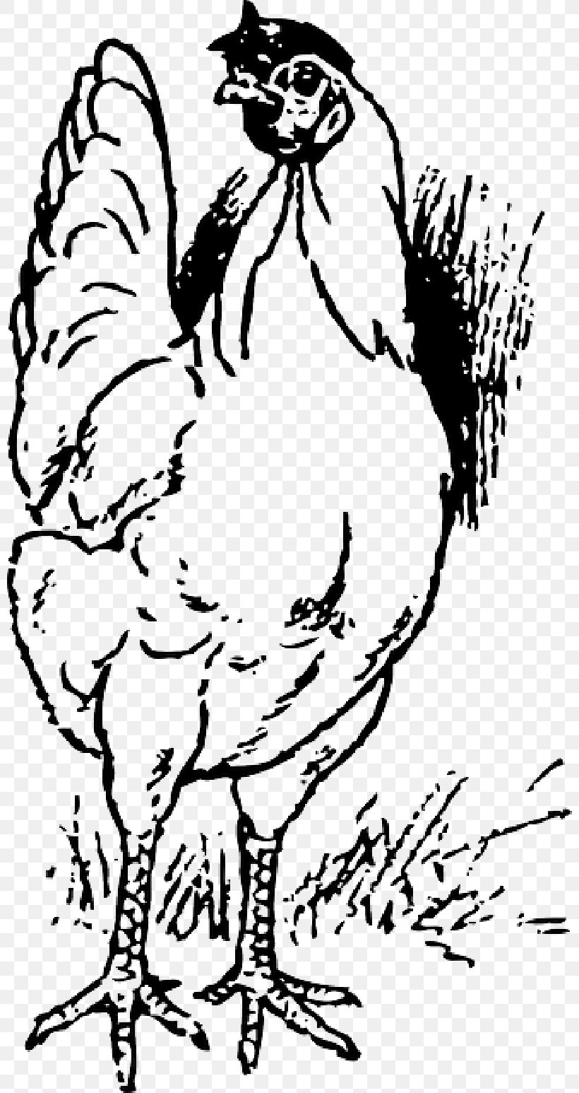 Roast Chicken Buffalo Wing Vector Graphics Clip Art, PNG, 800x1546px, Chicken, Art, Beak, Bird, Blackandwhite Download Free