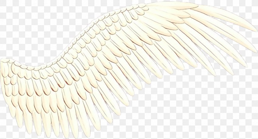 White Background, PNG, 1024x554px, White, Feather, Wing Download Free