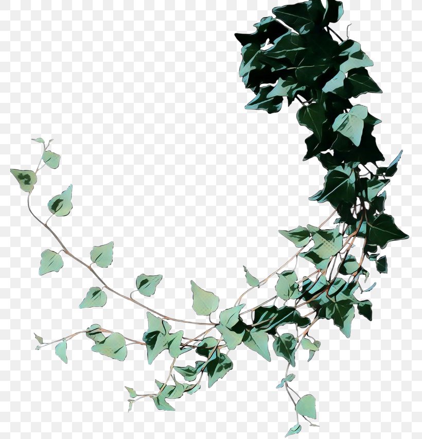 Drawing Of Family, PNG, 779x853px, Vine, Branch, Common Ivy, Drawing, Flower Download Free