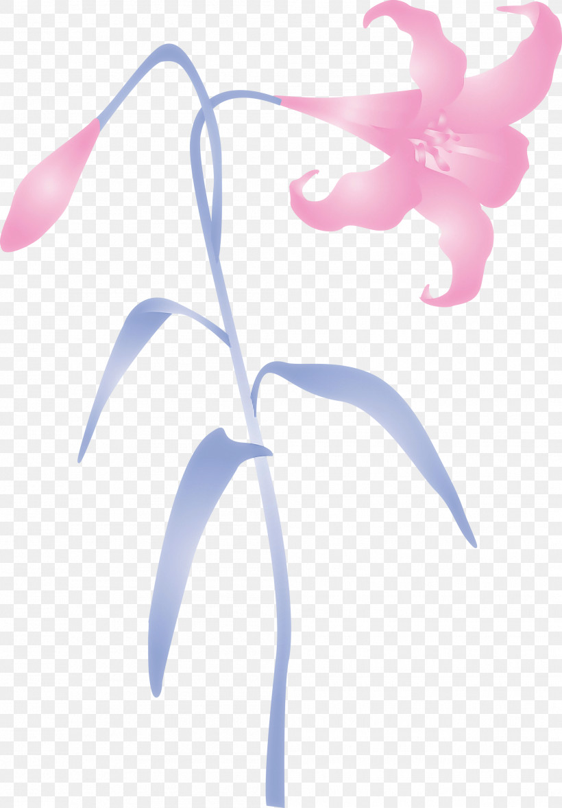 Easter Flower Spring Flower, PNG, 2089x3000px, Easter Flower, Flower, Herbaceous Plant, Leaf, Perennial Plant Download Free