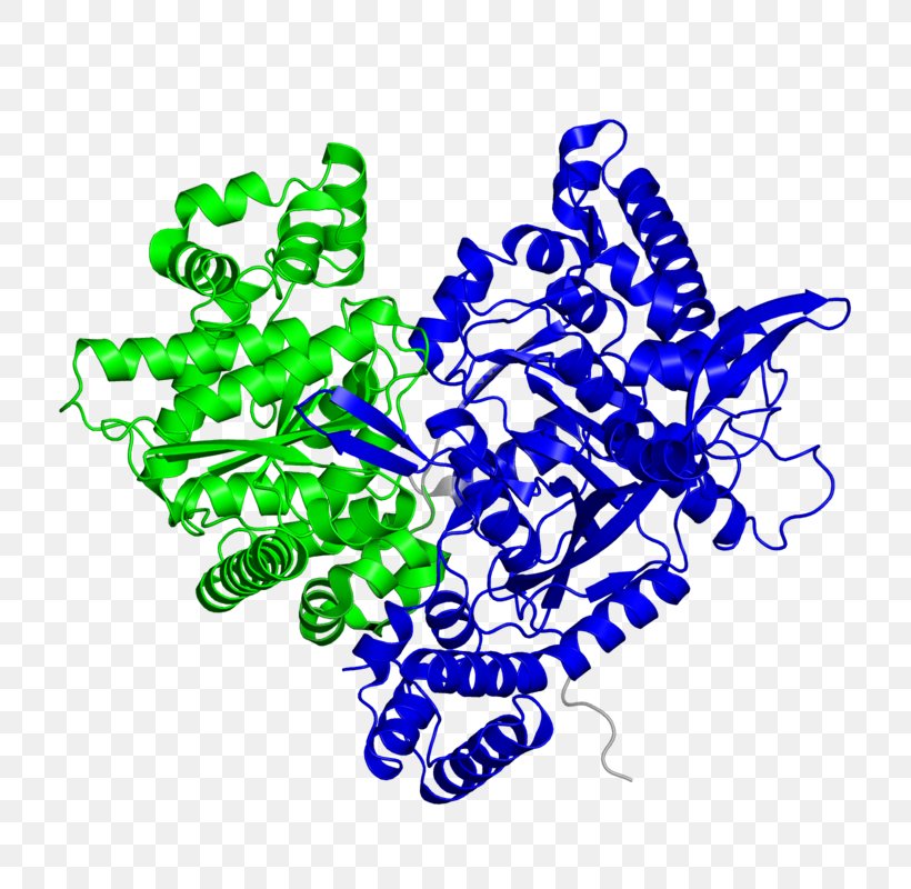 NiFe Hydrogenase Enzyme Hydrogen Production Alkaline Phosphatase, PNG, 800x800px, Hydrogenase, Alanine Transaminase, Alkaline Phosphatase, Anaerobic Organism, Area Download Free