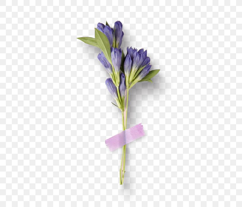 Cut Flowers Purple Flower Bouquet, PNG, 600x700px, Cut Flowers, Artificial Flower, Color, Floral Design, Floristry Download Free