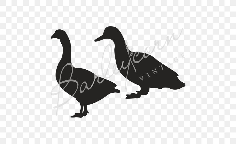 Duck Goosey Goosey Gander Stencil Schablone, PNG, 500x500px, Duck, Beak, Bird, Black And White, Bopet Download Free