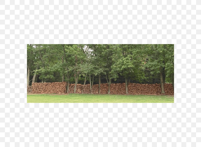 Fence Property Land Lot Pasture Tree, PNG, 600x600px, Fence, Area, Grass, Land Lot, Landscape Download Free