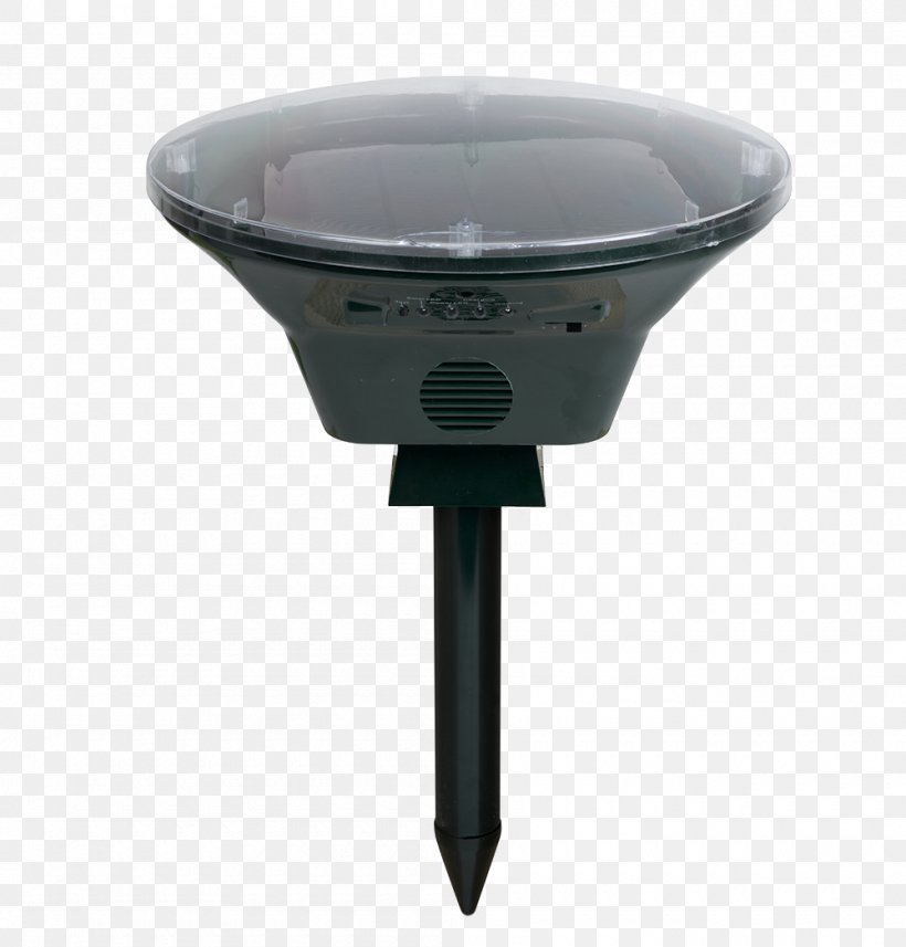 Bird Rat Trap Tagore Centre Mousetrap, PNG, 1000x1046px, Bird, Cat, Columbidae, Hardware, Lighting Download Free