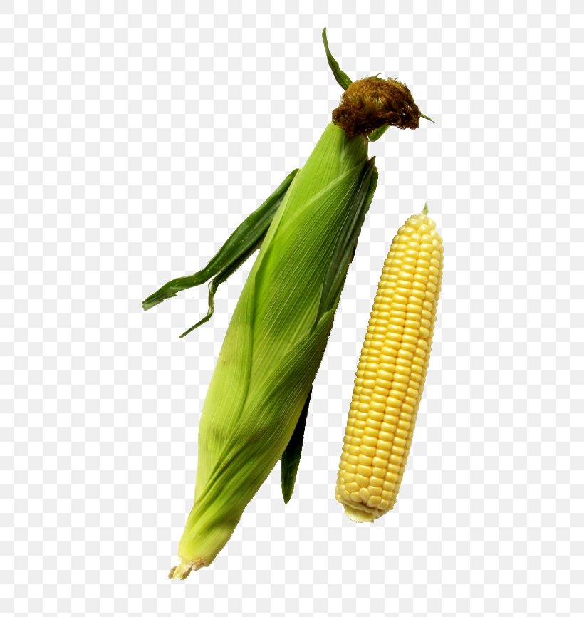 Corn On The Cob Cereal Grauds Maize, PNG, 650x866px, Corn On The Cob, Cereal, Commodity, Five Grains, Food Download Free