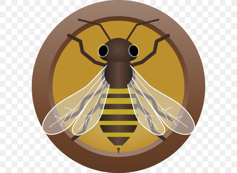 Honey Bee Mead Beer Ale Juice, PNG, 800x600px, Honey Bee, Ale, Arthropod, Austin Homebrew Supply, Bee Download Free