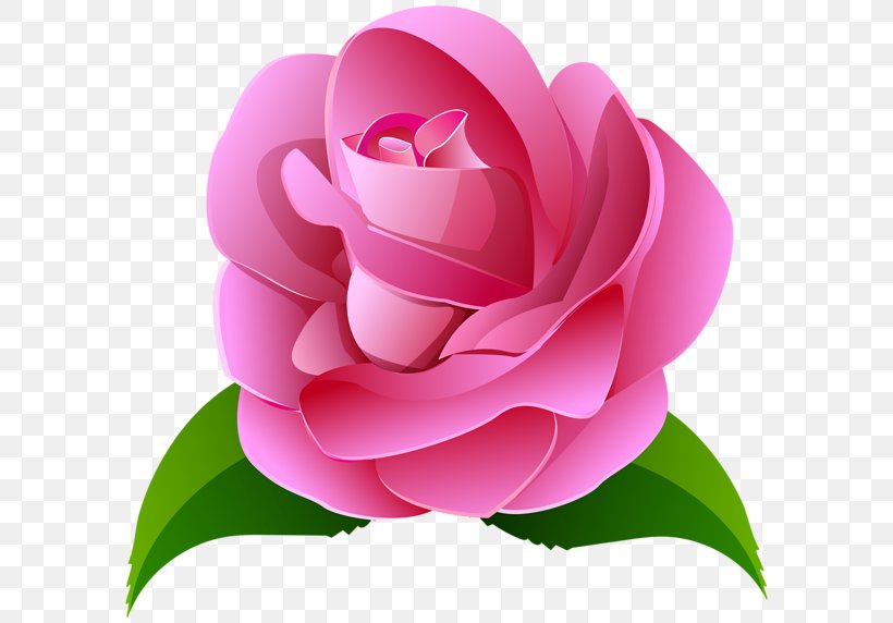 Rose Pink Painting Clip Art, PNG, 600x572px, Rose, Art, Art Museum, Camellia, Cut Flowers Download Free