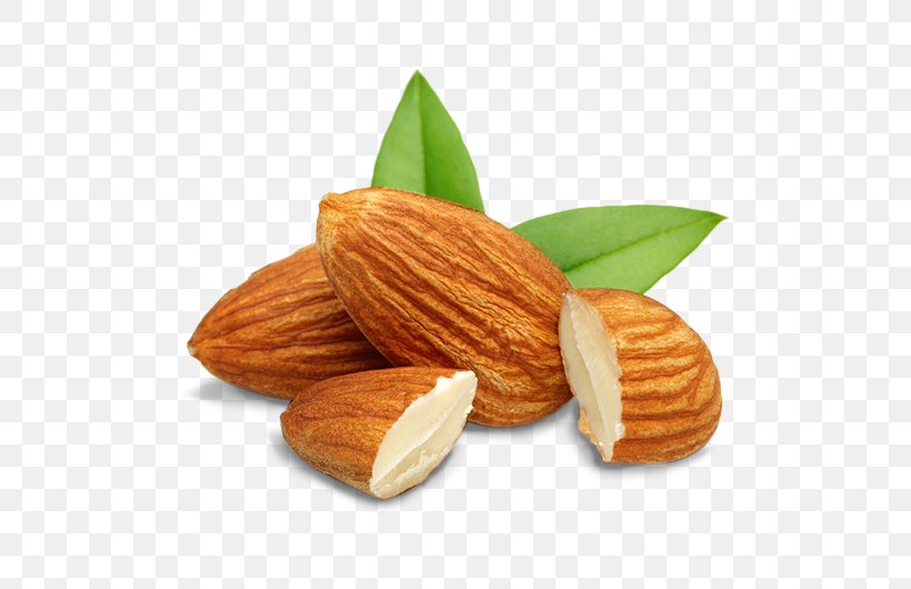 Nut Organic Food Almond Milk Flavor, PNG, 538x530px, Nut, Almond, Almond Milk, Apricot, Commodity Download Free