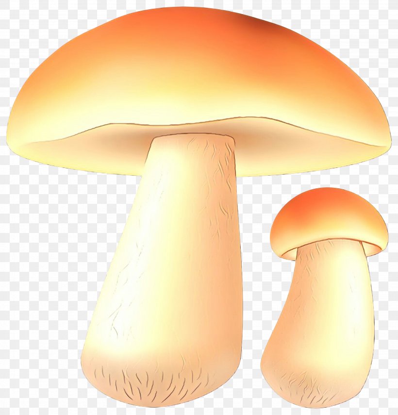 Product Design Mushroom Orange S.A., PNG, 2875x3000px, Mushroom, Agaric, Agaricaceae, Agaricomycetes, Agaricus Download Free