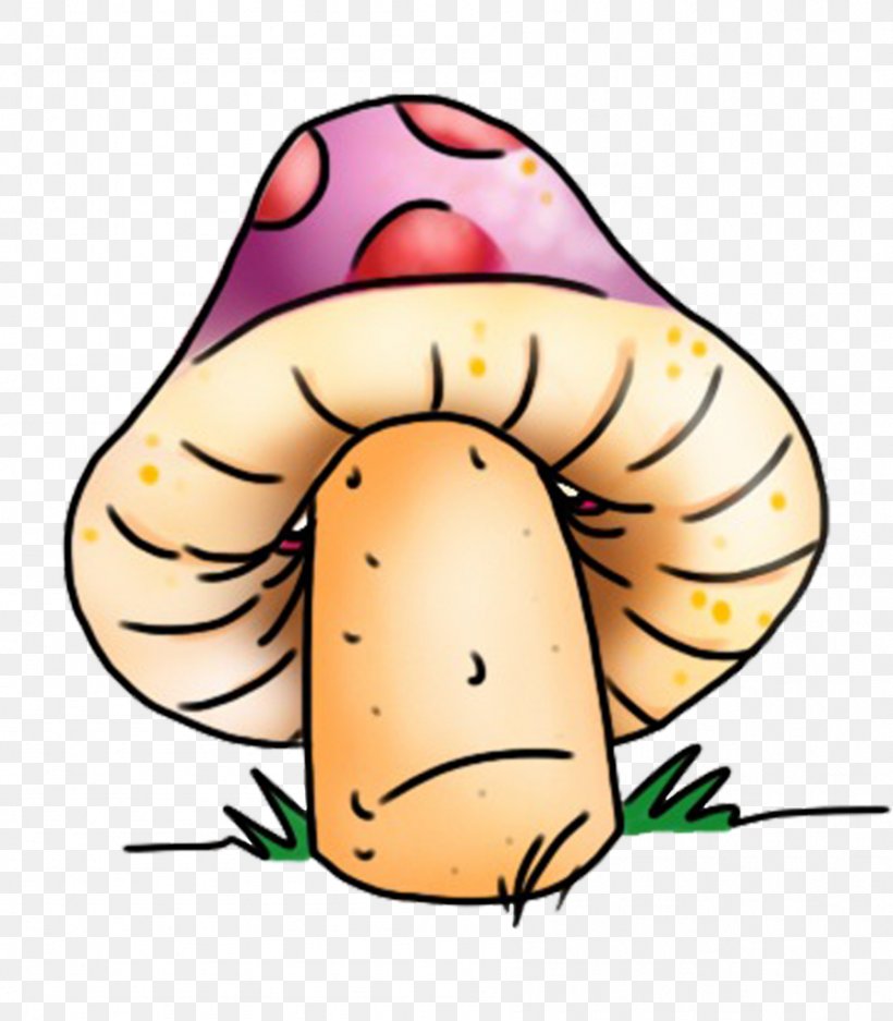 T-shirt Edible Mushroom Neckline, PNG, 896x1024px, Tshirt, Artwork, Cartoon, Edible Mushroom, Face Download Free