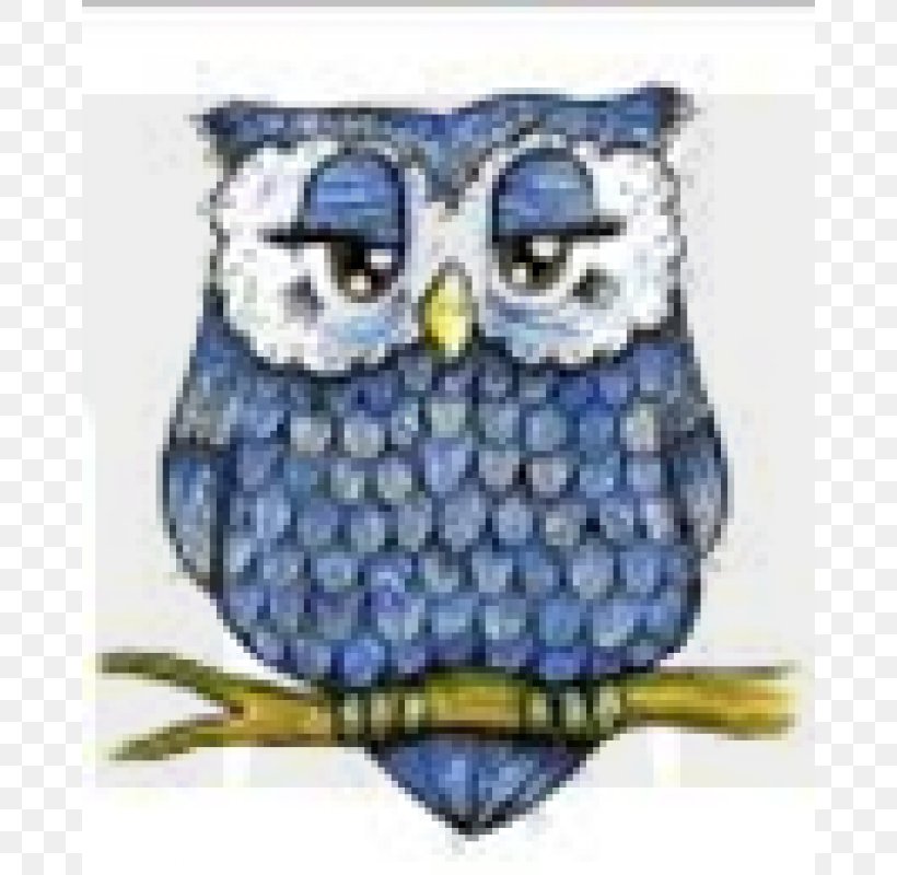 Barred Owl Bird Clip Art, PNG, 800x800px, Owl, Art, Barn Owl, Barred Owl, Beak Download Free