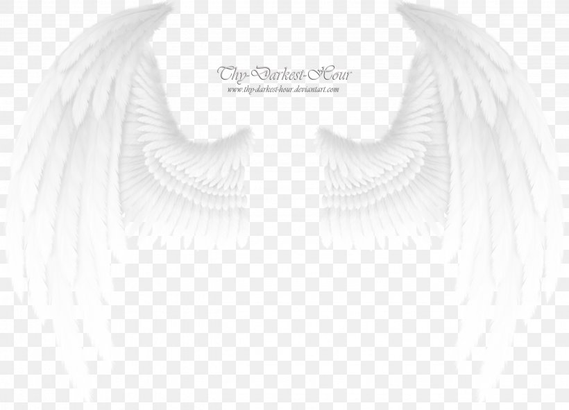 Shoulder Sleeve Joint White, PNG, 2656x1916px, Shoulder, Angel, Black And White, Feather, Joint Download Free