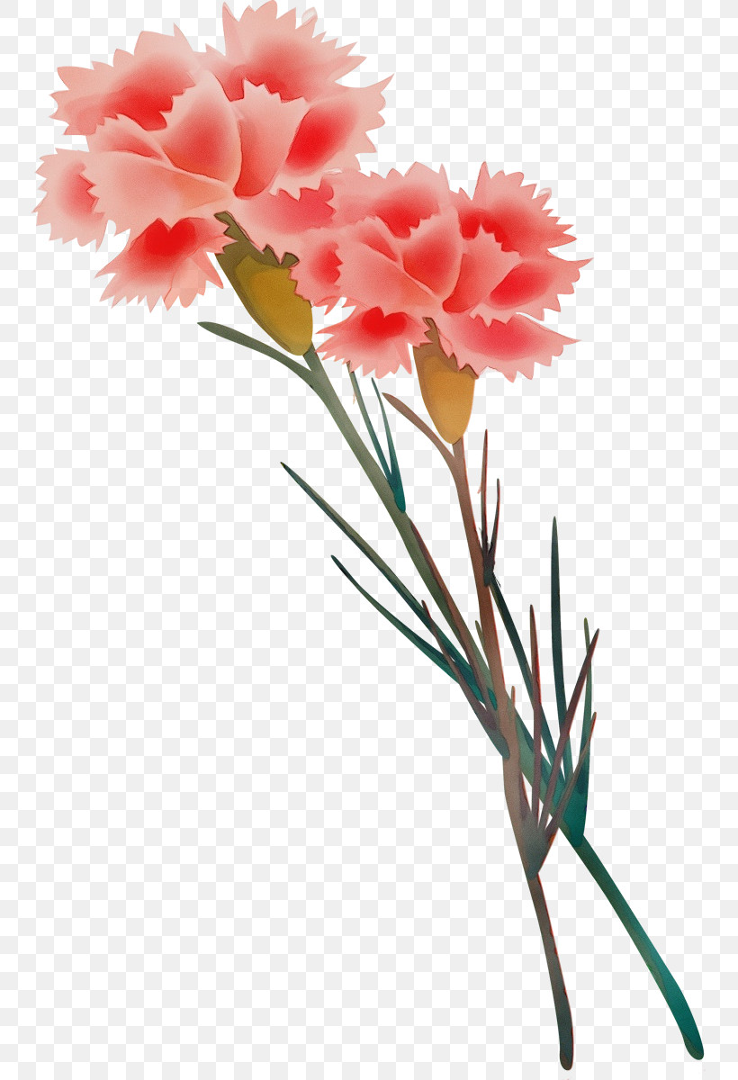 Artificial Flower, PNG, 752x1200px, Watercolor, Artificial Flower, Carnation, Cut Flowers, Dianthus Download Free