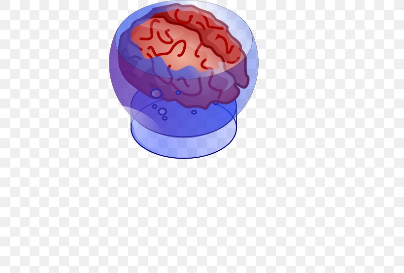 Brain 3D Printing, PNG, 612x554px, Watercolor, Cartoon, Flower, Frame, Heart Download Free