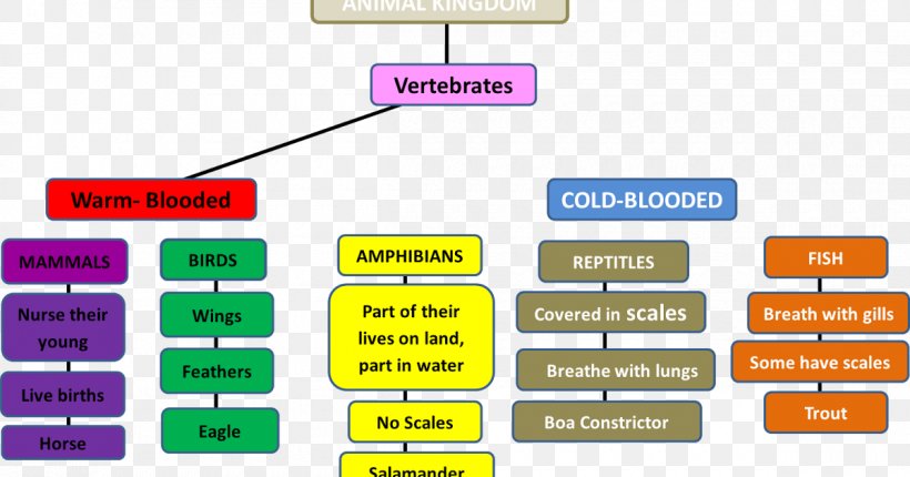 Concept Map Dye Sulfone, PNG, 1200x630px, Map, Animal, Area, Brand, Concept Download Free