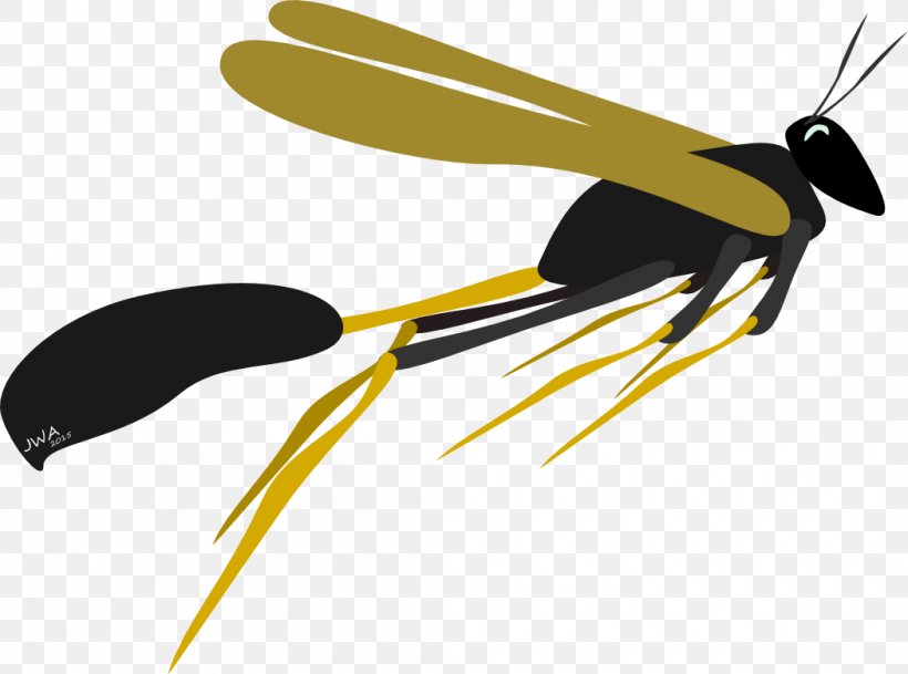 Insect Propeller Clip Art, PNG, 1050x781px, Insect, Fly, Invertebrate, Membrane Winged Insect, Pest Download Free