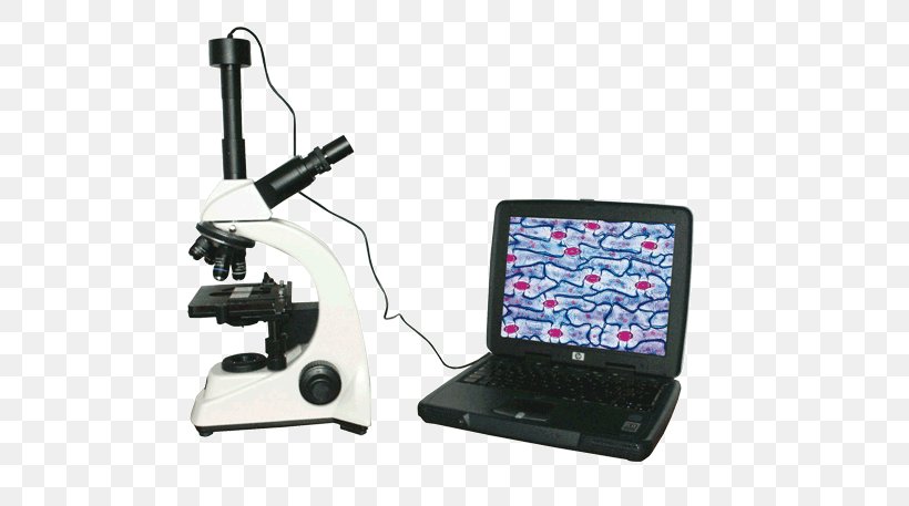 Optical Microscope Digital Cameras Digital Microscope, PNG, 800x457px, Microscope, Angular Resolution, Camera, Camera Accessory, Celestron Download Free