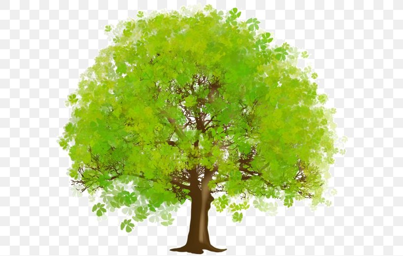 Clip Art Tree Openclipart Free Content Branch, PNG, 600x521px, Tree, Branch, Flower, Grass, Green Download Free