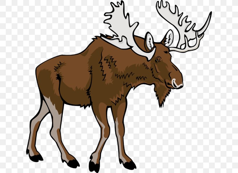 Moose Free Content Clip Art, PNG, 640x596px, Moose, Antler, Blog, Cartoon, Cattle Like Mammal Download Free