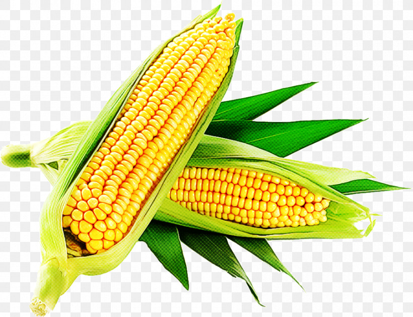 Sweet Corn Corn On The Cob Corn Flour Corn Kernel Vegetable, PNG, 900x691px, Sweet Corn, Commodity, Corn, Corn Flour, Corn Kernel Download Free