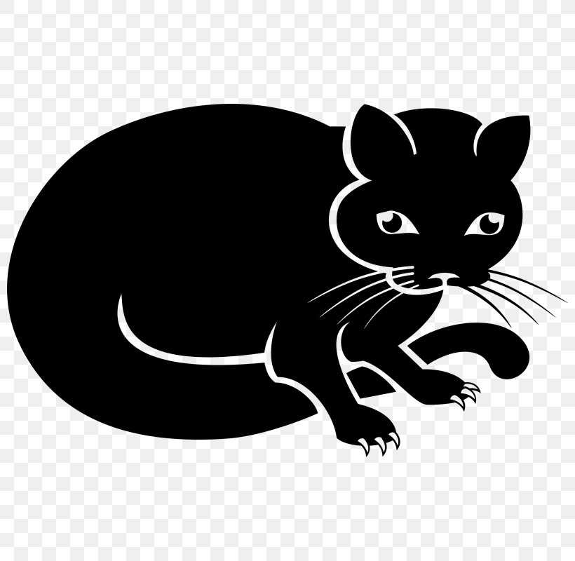 Whiskers Black Cat Clip Art, PNG, 800x800px, Whiskers, Black, Black And White, Black Cat, Carnivoran Download Free