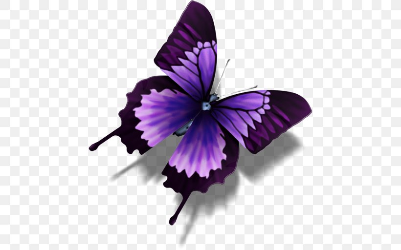 Bộ sưu tập cánh vẩy 6 - Page 4 Butterfly-morpho-achilles-morpho-portis-computer-icons-png-favpng-dAV6s7f9HitcdEdbrgJgpSU1J