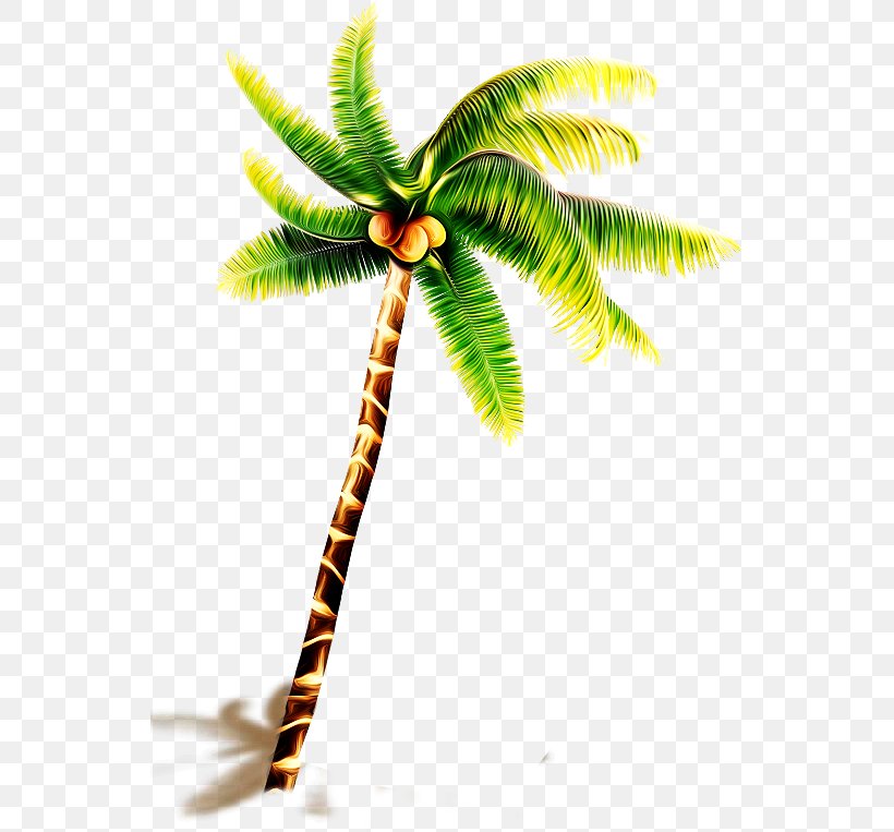 Coconut Tree, PNG, 543x763px, Coconut, Arecales, Branch, Designer, Diving Suit Download Free