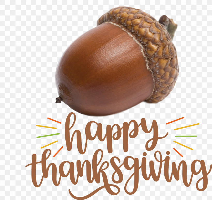 Happy Thanksgiving Thanksgiving Day Thanksgiving, PNG, 3000x2842px, Happy Thanksgiving, Acorn, Ingredient, Nut, Seed Download Free