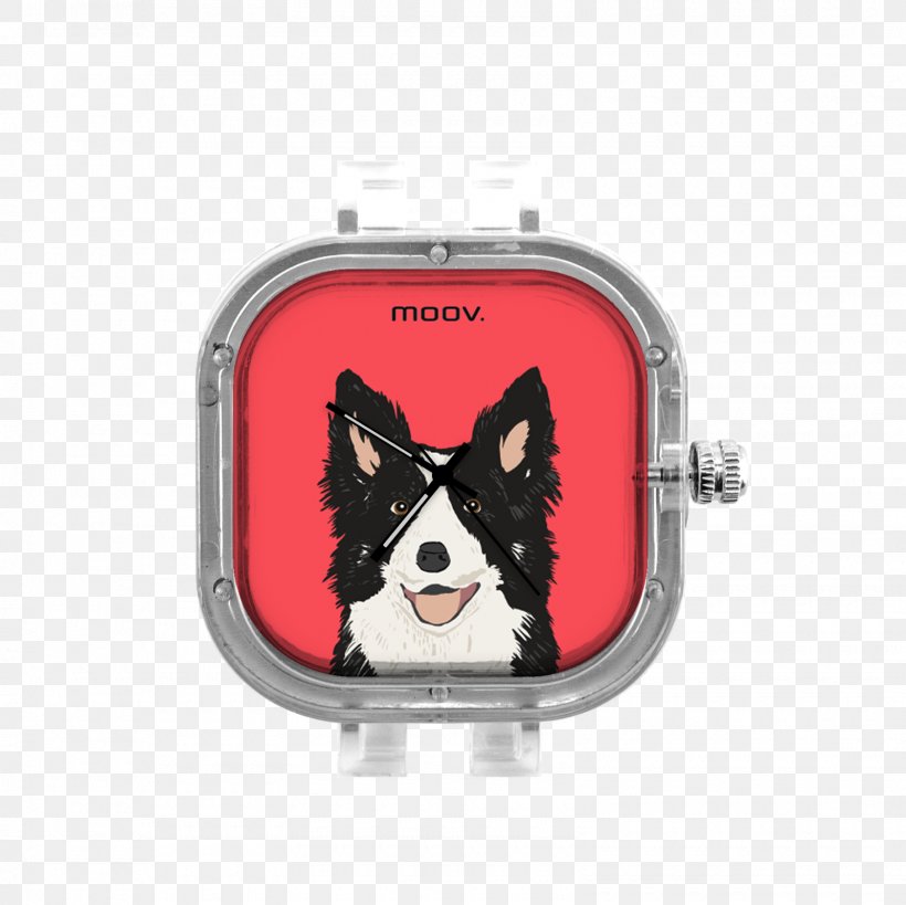 The Border Collie Rough Collie Art Clip Art, PNG, 1600x1600px, Border Collie, Art, Boston Terrier, Breed Group Dog, Canvas Download Free
