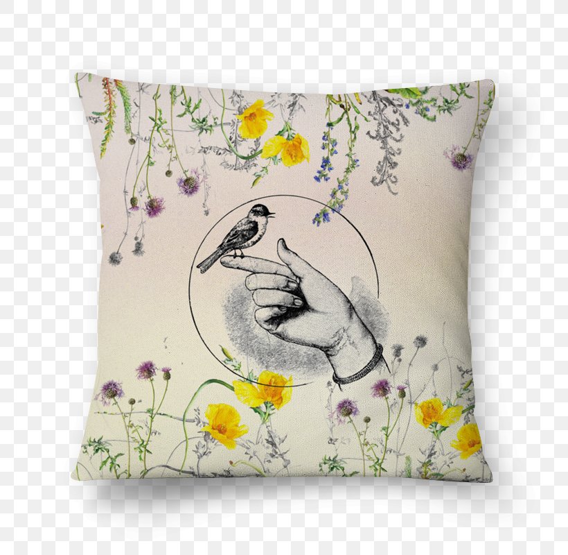 Thunder And A Lightning Bug Named Lou Throw Pillows Cushion Book, PNG, 800x800px, Throw Pillows, Author, Bird, Book, Cushion Download Free