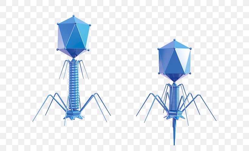 Bacteriophage Biotechnology Biology, PNG, 700x500px, Bacteriophage, Art, Biology, Biotechnology, Canvas Print Download Free