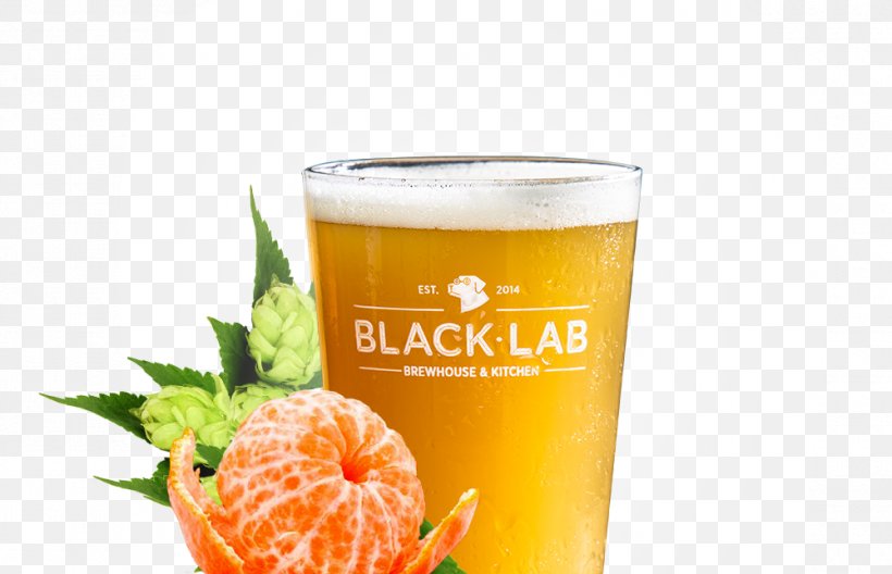 Beer BlackLab Brewhouse & Kitchen Orange Drink Blond Ale Food, PNG, 1000x644px, Beer, Asia, Barcelona, Blacklab Brewhouse Kitchen, Blond Ale Download Free